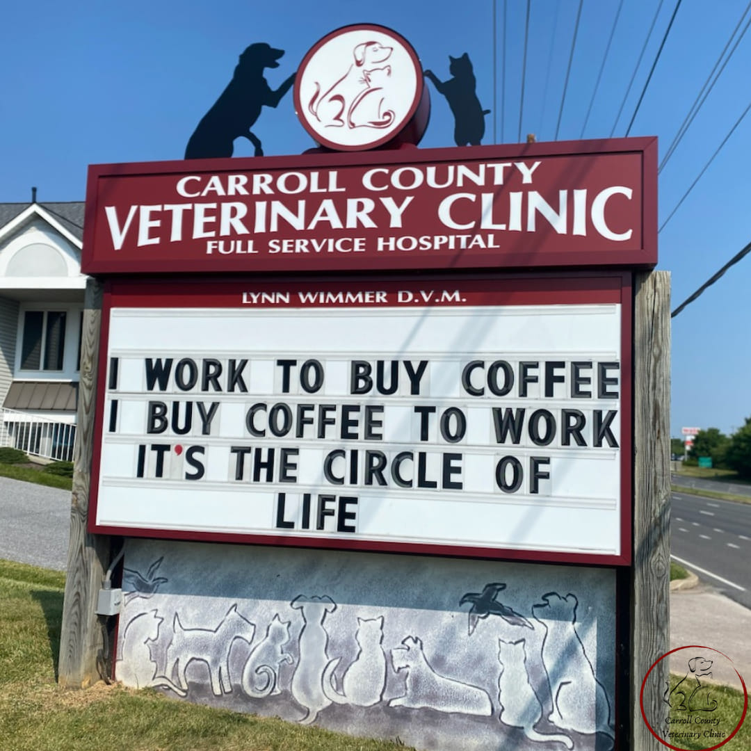 50 Funniest Roadside Signs from This Vet Clinic's Instagram: A Prescription for Smiles 41 I work to buy coffee