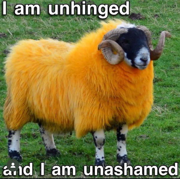 20 Memes That Are Unexpectedly Hilarious 6 Iam unhinged