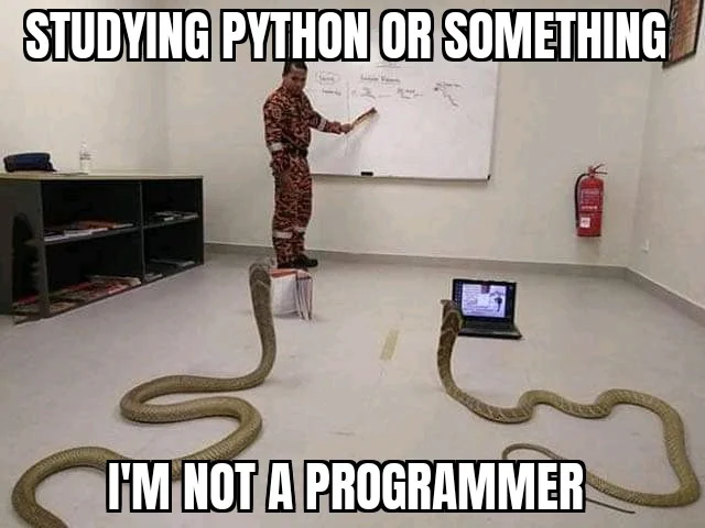 20 Snake Memes That Will Make You Sssmile on World Snake Day! 5 Im not a programmer - Snake Memes