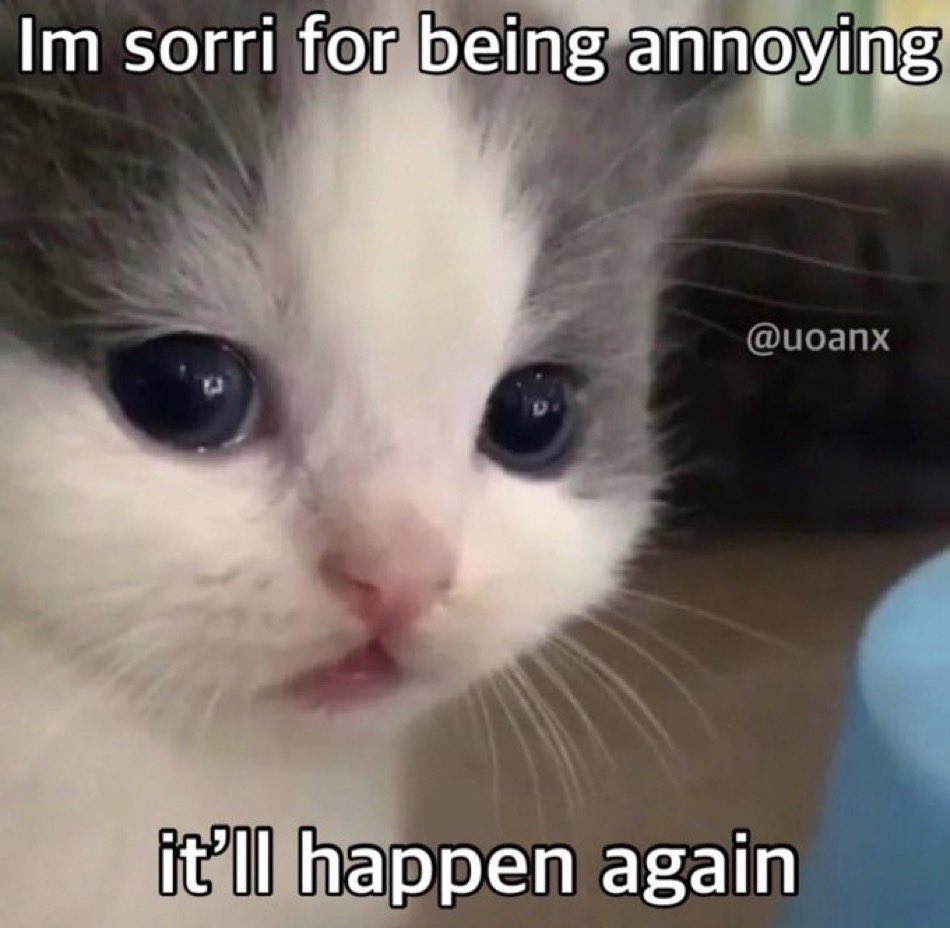 30 Cat Memes That Are Basically You in Furry Form 12 Im sorri - Cat Memes