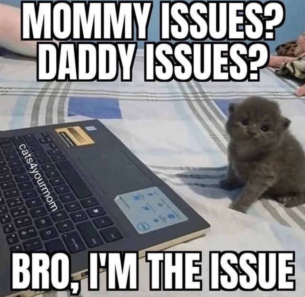 30 Cat Memes That Are Basically You in Furry Form 13 Im the issue - Cat Memes