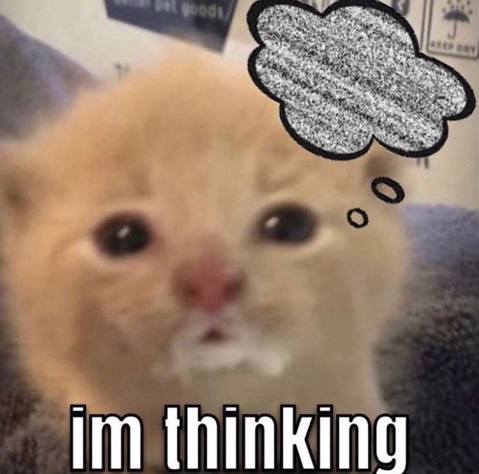 30 Cat Memes That Are Basically You in Furry Form 14 Im thinking - Cat Memes