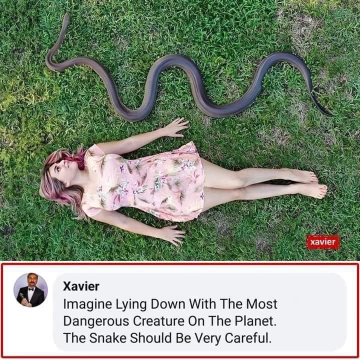 20 Snake Memes That Will Make You Sssmile on World Snake Day! 6 Imagine lying down - Snake Memes