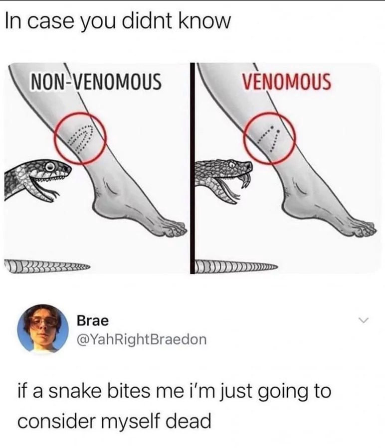 20 Snake Memes That Will Make You Sssmile on World Snake Day! 7 Incase you didnt know - Snake Memes