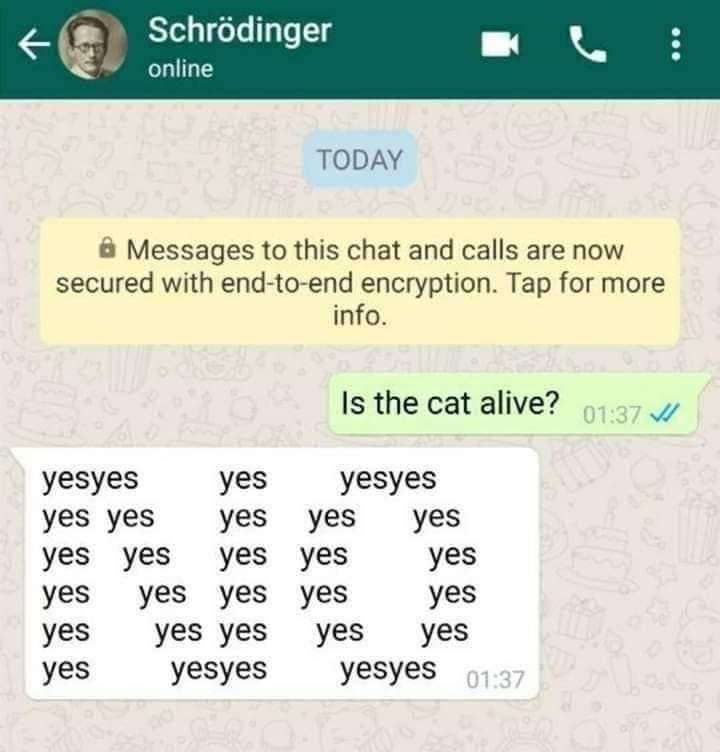20 Schrödinger's Cat Memes That Will Keep You Guessing If They're Hilarious or Not 18 Is the cat alive