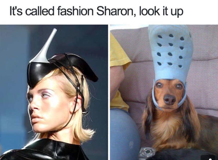 20 Fashion Memes to Celebrate Fashion Day 12 Its called fashion - Fashion Memes