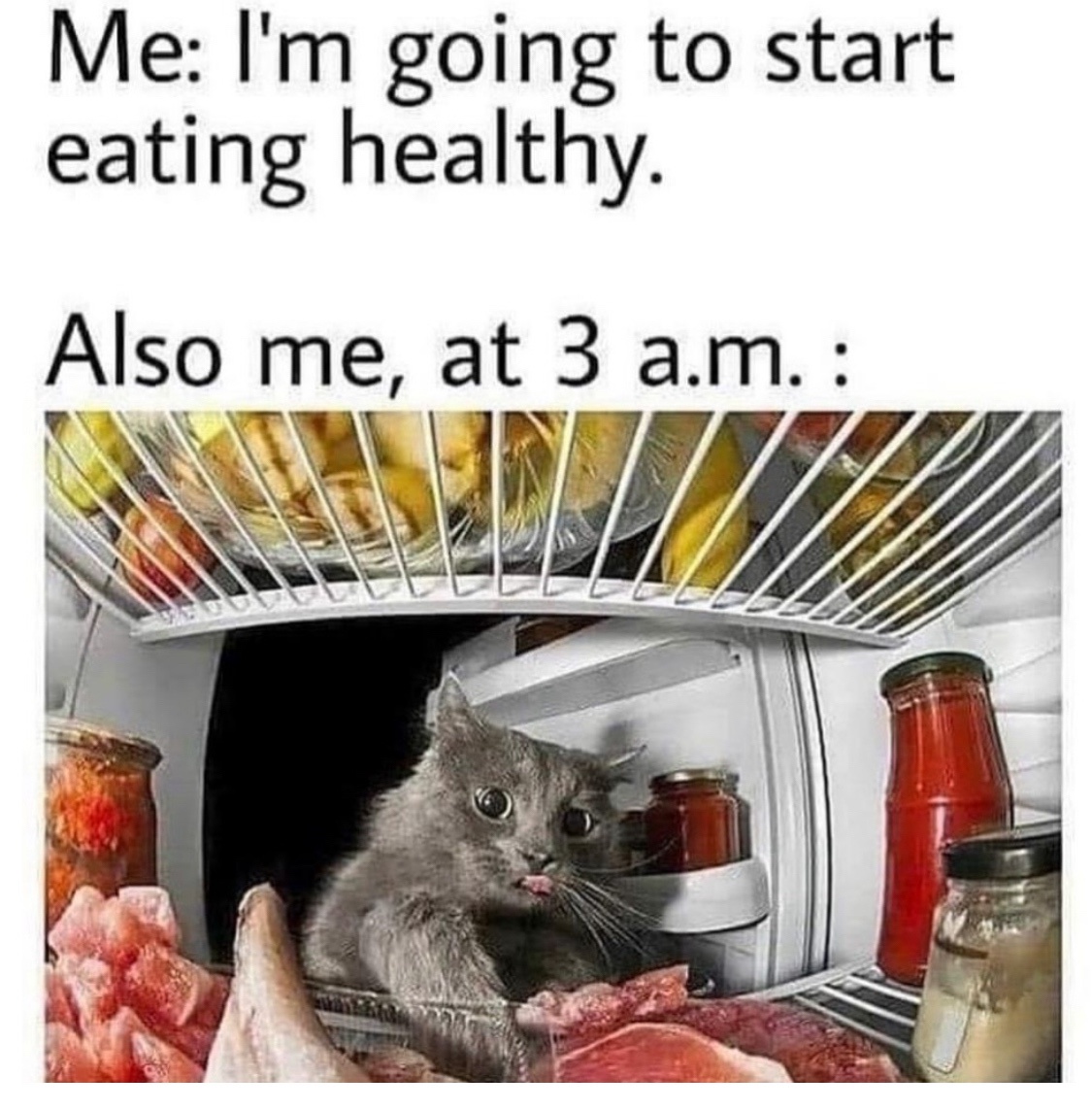 20 Funniest Cat Memes That Will Make Your Brain Meow 14 Me at 3am - Funniest Cat Memes