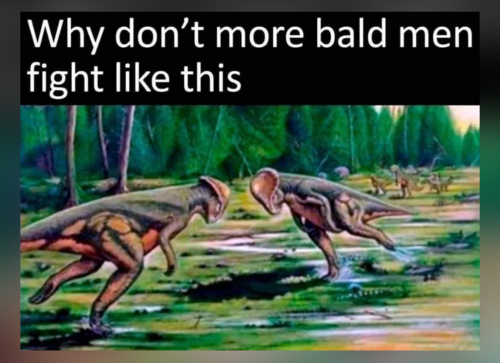 Memes That Will Make You Laugh Even on Your Worst Days - FG.png