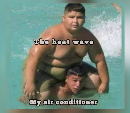 Memes That Will Make Your Day Fun - FG.png