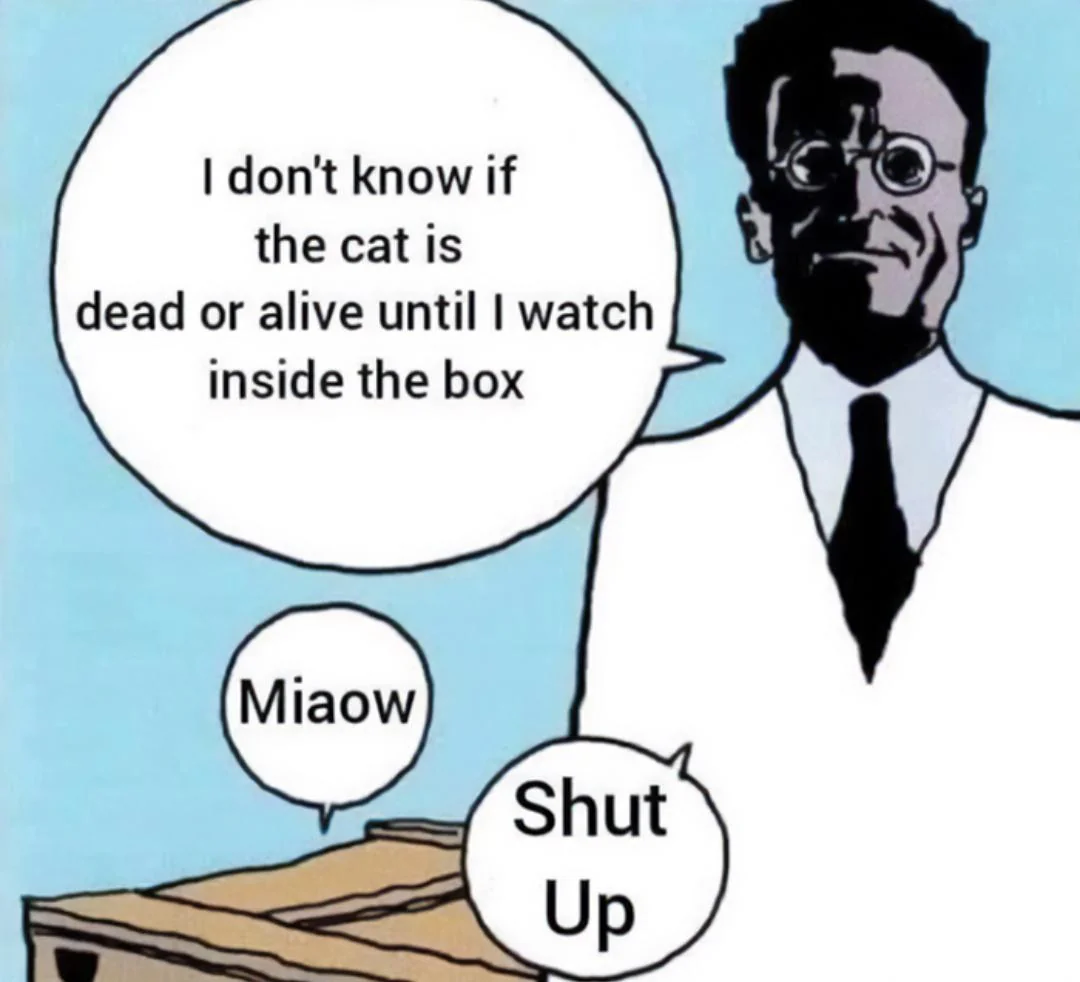 20 Schrödinger's Cat Memes That Will Keep You Guessing If They're Hilarious or Not 19 Meow