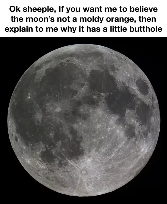 25 Hilarious Moon Memes to Light Up International Moon Day 25 Ok sheeple