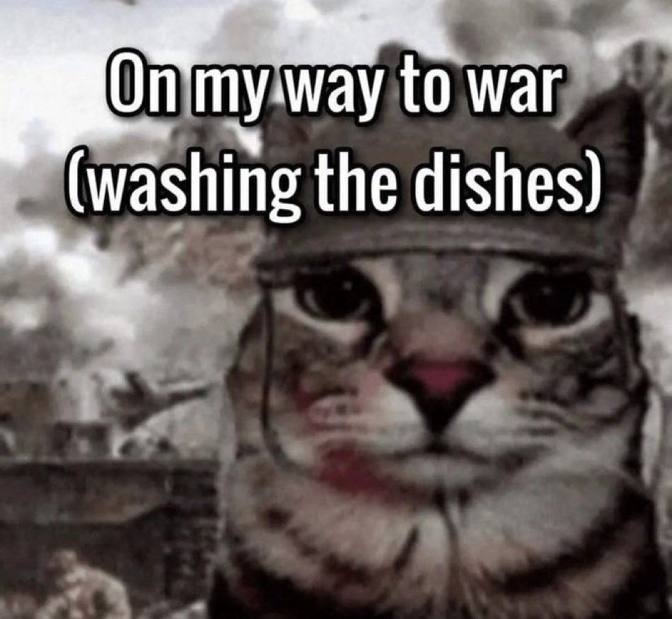 30 Cat Memes That Are Basically You in Furry Form 22 On my way to war - Cat Memes