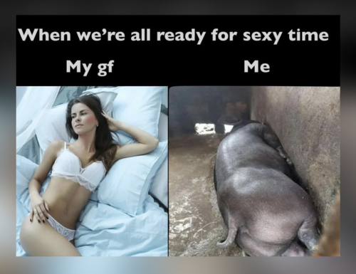 Random Memes - July - FG