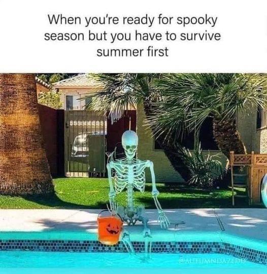 25 Memes That'll Give You a Serious Case of the Giggles 13 Ready for spooky season - Best 90s Memes