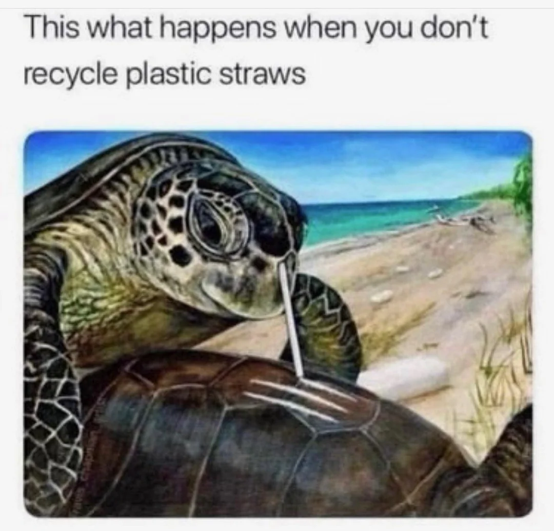 34 Turtle Memes to Shell-ter You from Boredom on World Turtle Day 31 Recycle plastic straws