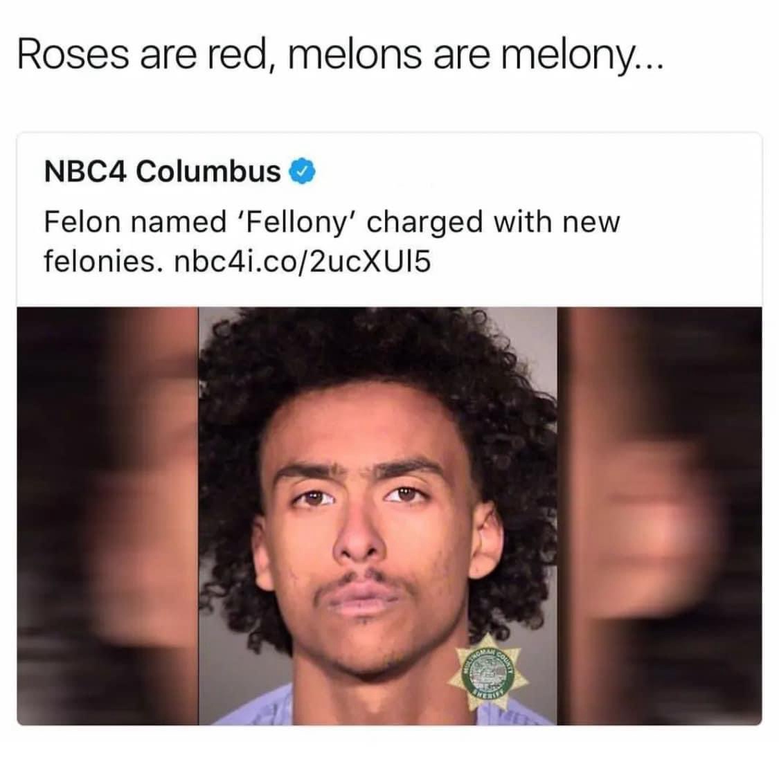 15 Memes That Will Make Your Day Fun 8 Roses are red