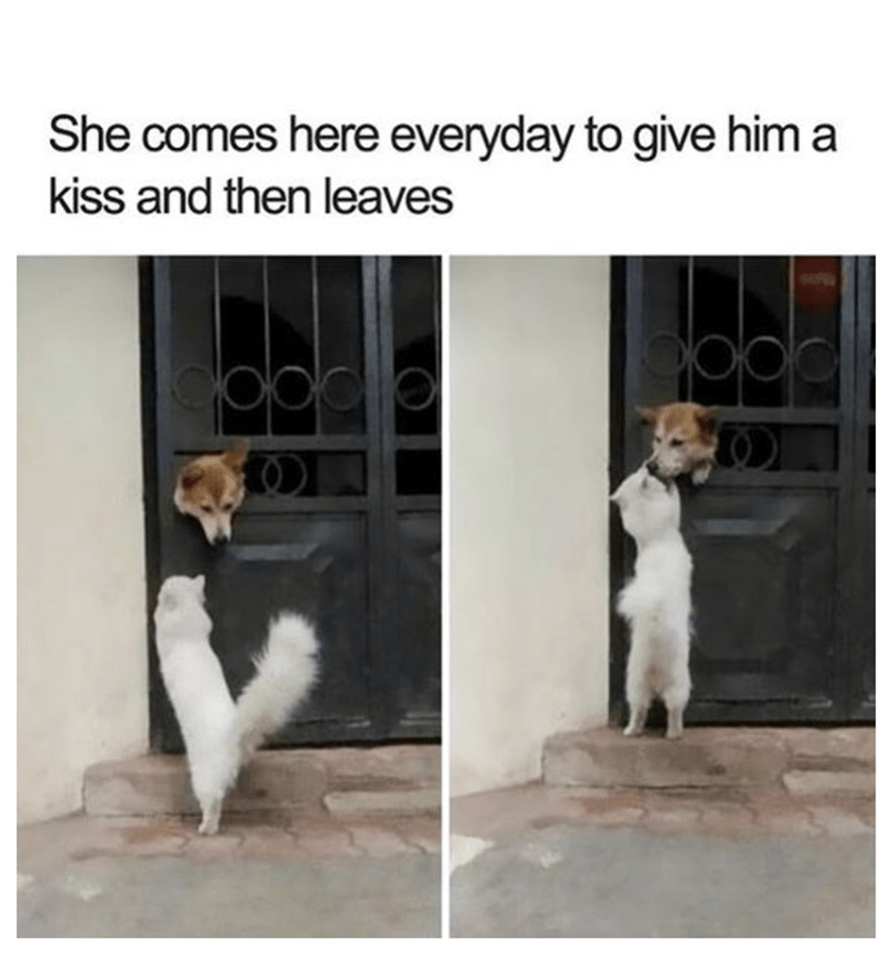 20 Kissing Memes to Celebrate International Kissing Day 13 She comes here - Kissing Memes