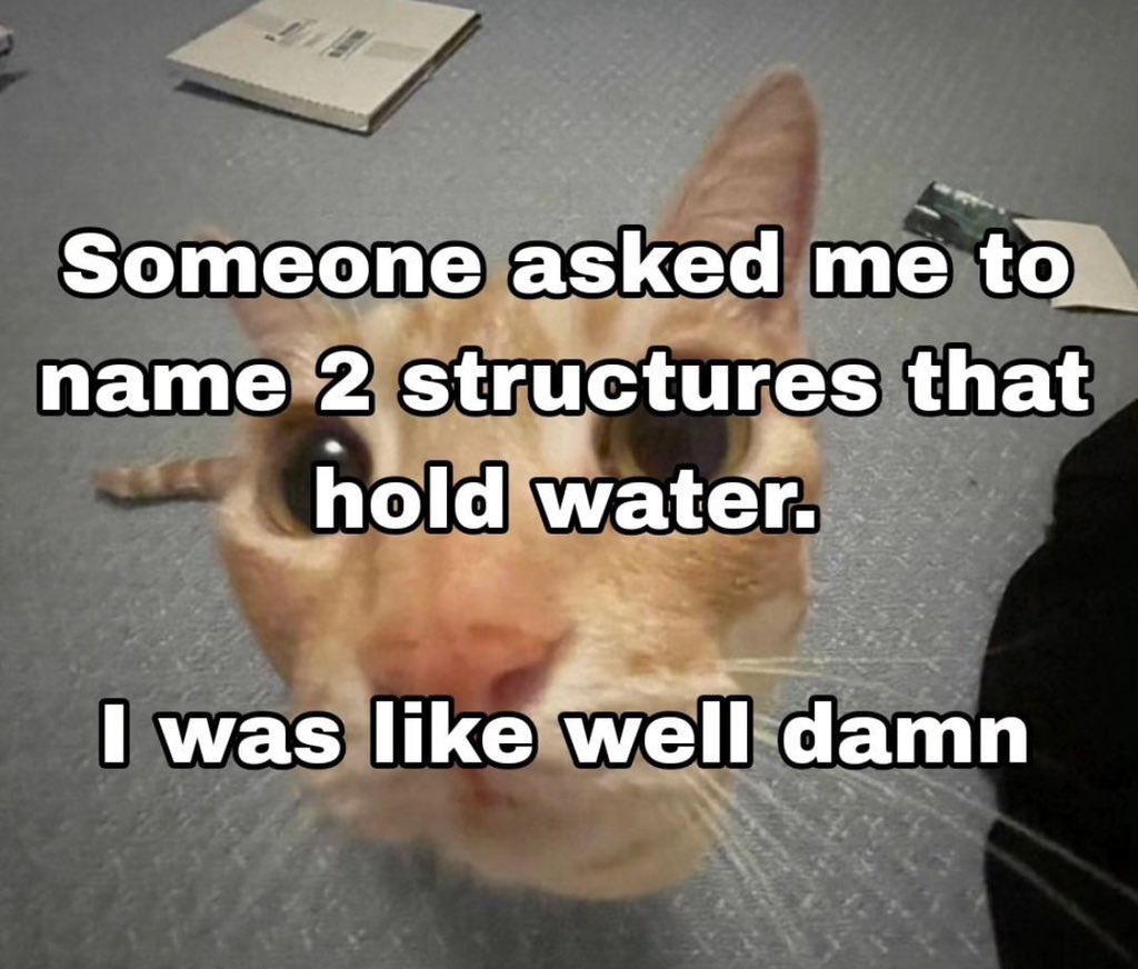 30 Cat Memes That Are Basically You in Furry Form 25 Someone asked me - Cat Memes