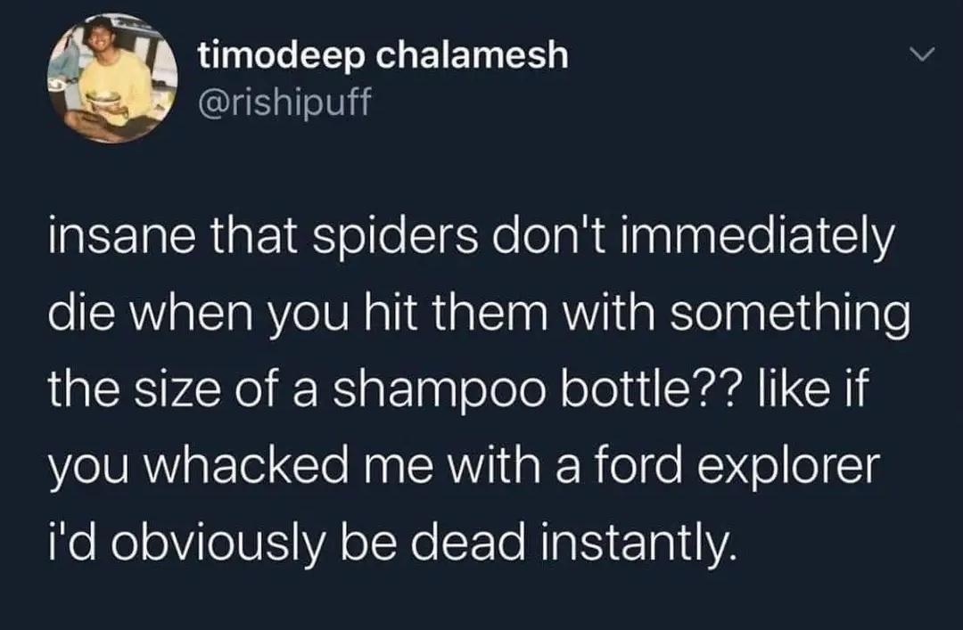 25 Memes That'll Give You a Serious Case of the Giggles 15 Spiders dont die immediately - Best 90s Memes