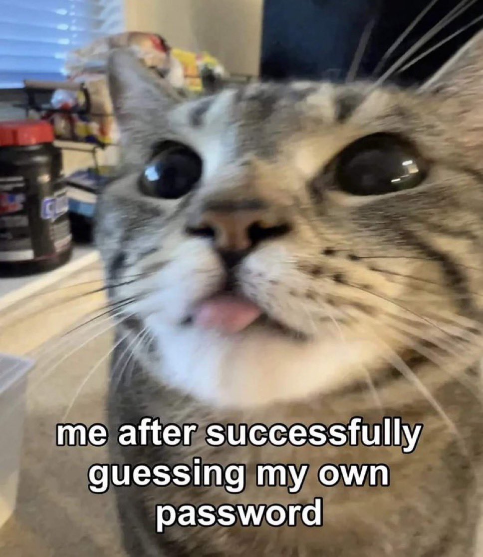 30 Cat Memes That Are Basically You in Furry Form 26 Sucessfully guessing my own password - Cat Memes