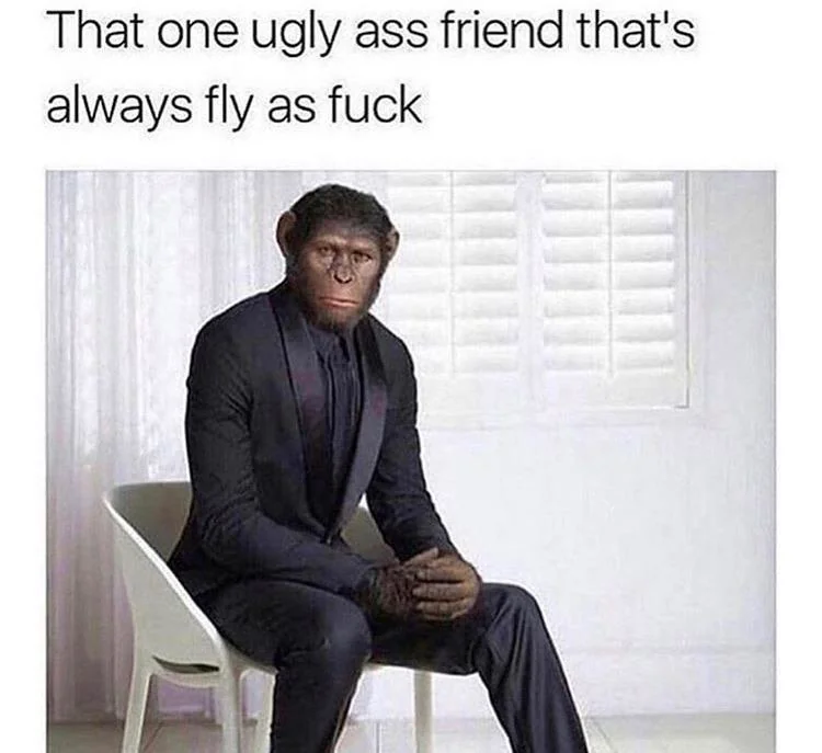 20 Chimpanzee Memes to Celebrate World Chimpanzee Day 13 That one ugly friend - Chimpanzee Memes