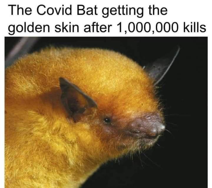 25 Hilarious Dank Memes That Are Almost Too Dark to Laugh At 11 The covid bat - Hilarious Dank Memes