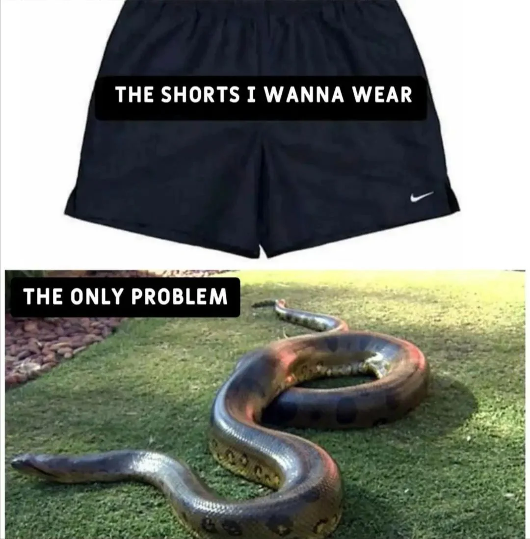 20 Snake Memes That Will Make You Sssmile on World Snake Day! 16 The shorts I wanna wear - Snake Memes