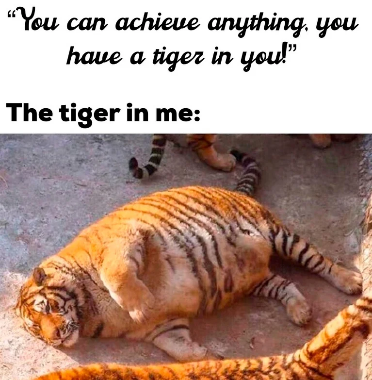 25 Tiger Memes to Turn Your International Tiger Day Into a Laugh Safari 23 The tiger in me