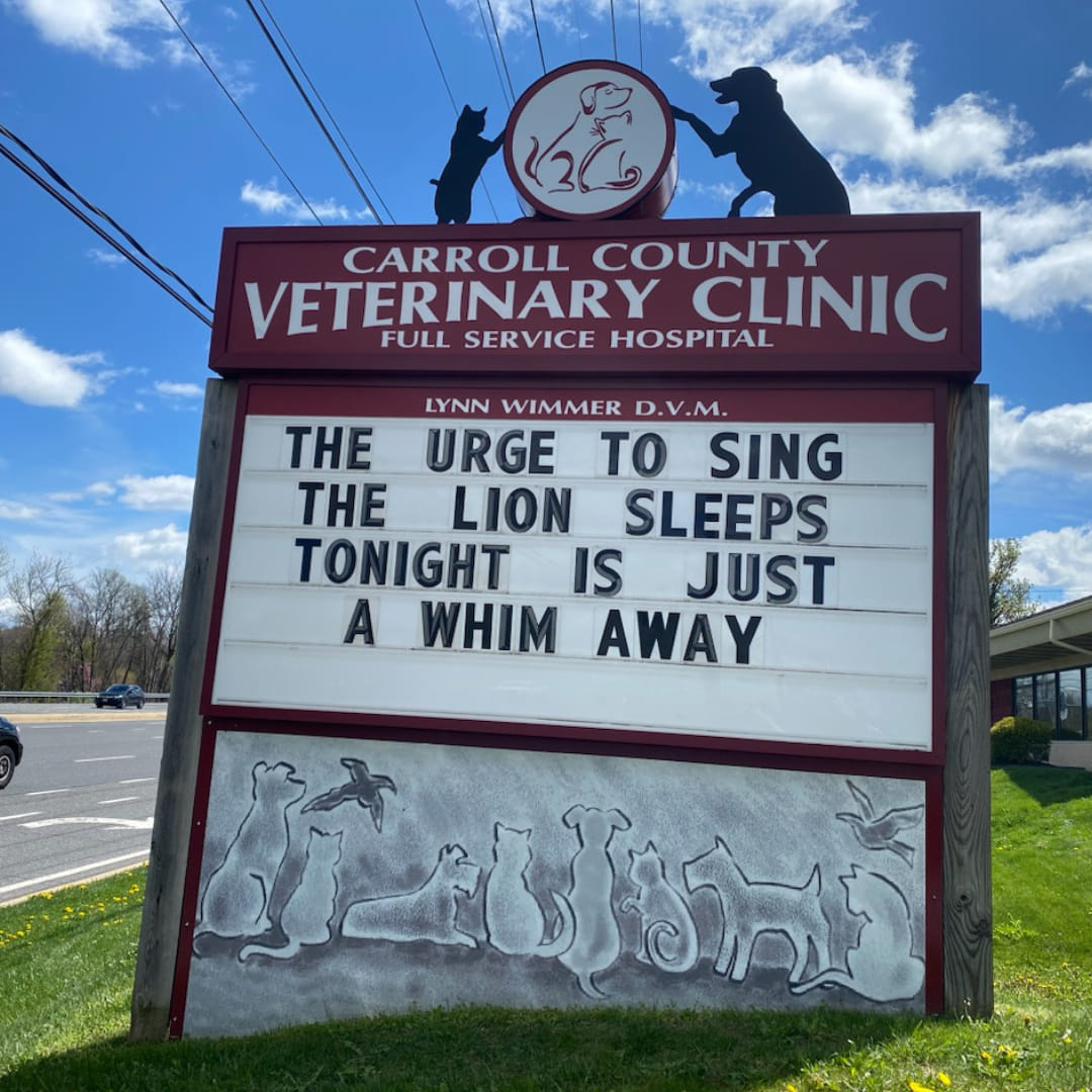 50 Funniest Roadside Signs from This Vet Clinic's Instagram: A Prescription for Smiles 43 The urge to sing