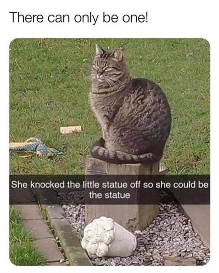 25 Funny Sunday Memes to Make Your Lazy Day Hilarious 24 There can only be one