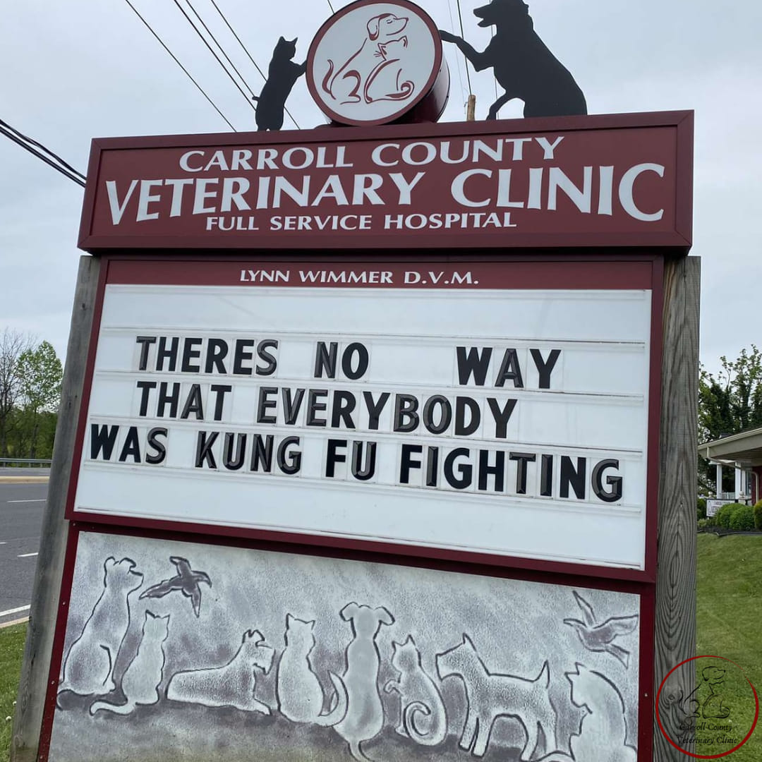 50 Funniest Roadside Signs from This Vet Clinic's Instagram: A Prescription for Smiles 44 Theres is no way