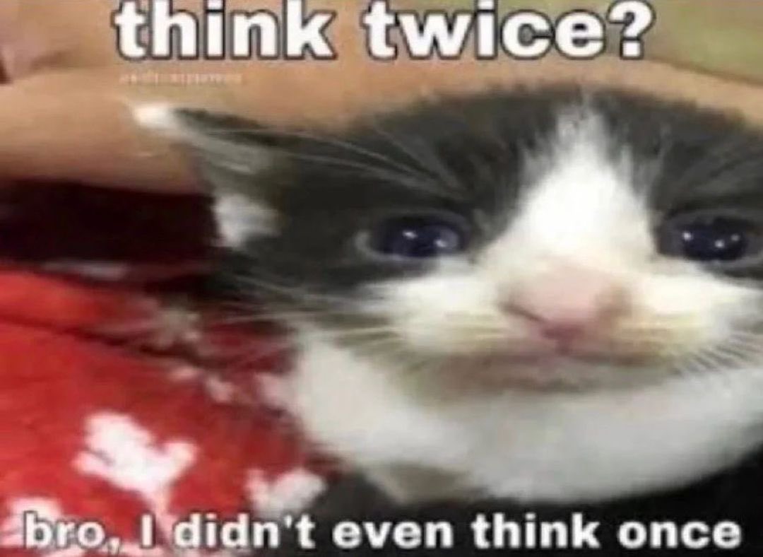 30 Cat Memes That Are Basically You in Furry Form 28 Think twice - Cat Memes