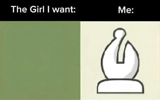 25 Funny Chess Memes to Celebrate World Chess Day 27 Thr girl I want