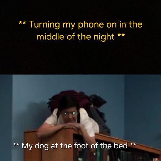 15 Memes Straight from the LOL Garden 5 Turning my phone on