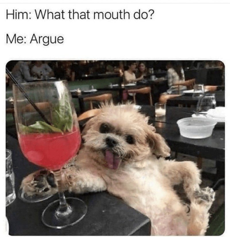 25 Uplifting Dog Memes That Will Fetch Your Smile 25 WHat that mouth do