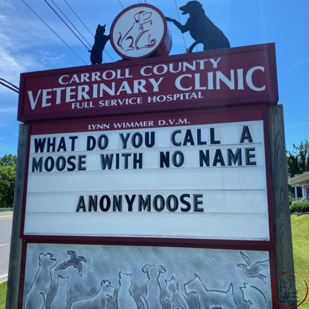 50 Funniest Roadside Signs from This Vet Clinic's Instagram: A Prescription for Smiles 45 What do you call a moose