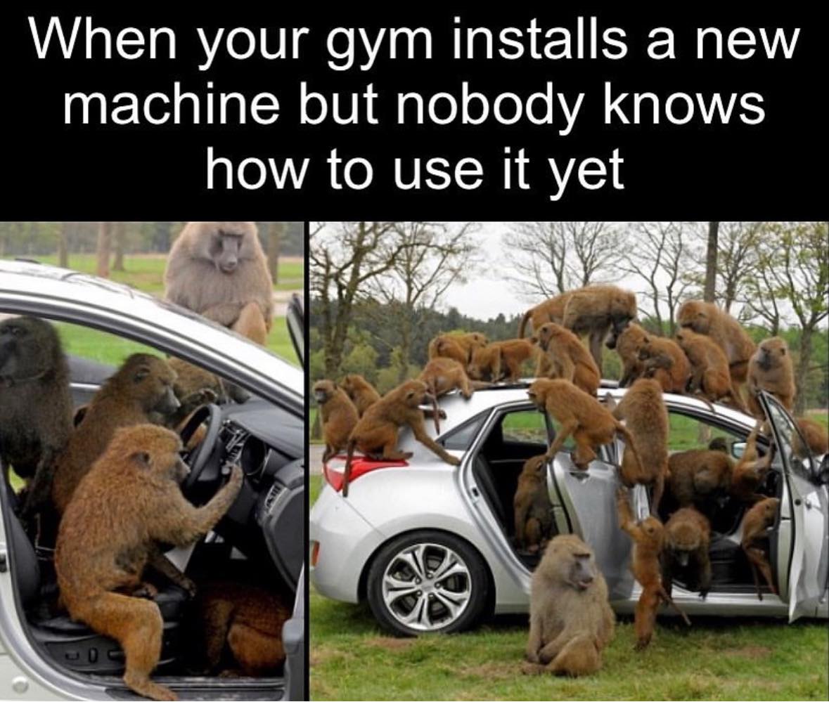 25 Gym Humor Memes That’ll Help You Burn Fat with Every Chuckle! 21 When gym installs anew machine - Gym Humor Memes