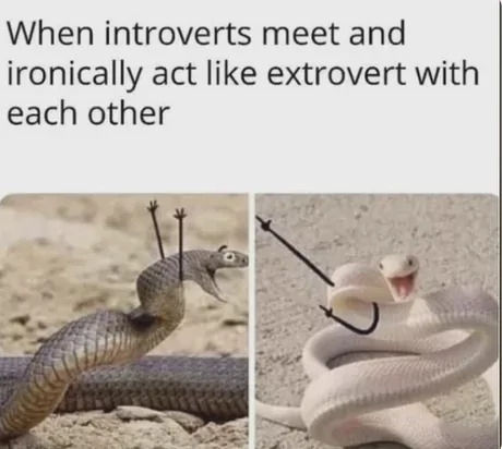 20 Snake Memes That Will Make You Sssmile on World Snake Day! 19 When introverts meets - Snake Memes
