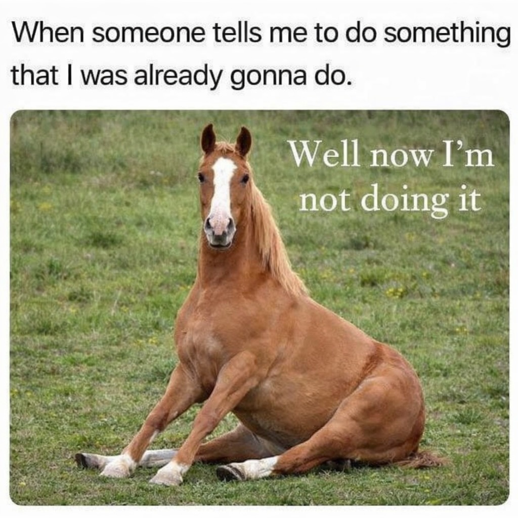 60 Hilarious Memes from an Instagram Laughter Factory 62 When someone tells me