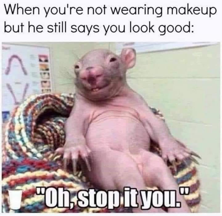 20 Happy Animal Memes for Instant Happiness 19 When your enot wearing make up - Happy Animal Memes