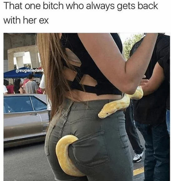 20 Snake Memes That Will Make You Sssmile on World Snake Day! 20 Who always gets back with ex - Snake Memes