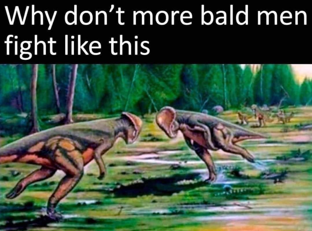 20 Memes That Will Make You Laugh Even on Your Worst Days 19 Why dont more bald men