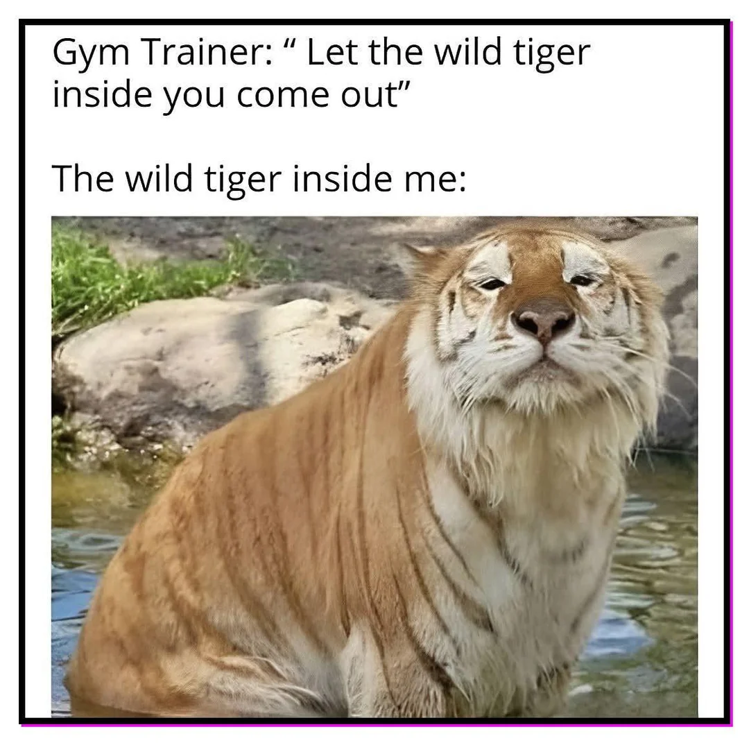 25 Tiger Memes to Turn Your International Tiger Day Into a Laugh Safari 27 Wild tiger inside me