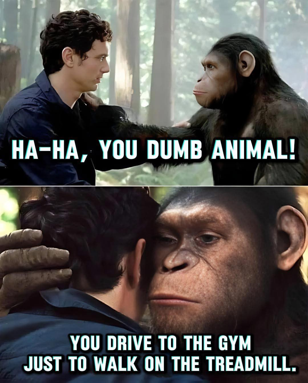 60 Hilarious Memes from an Instagram Laughter Factory 61 You drive to gym