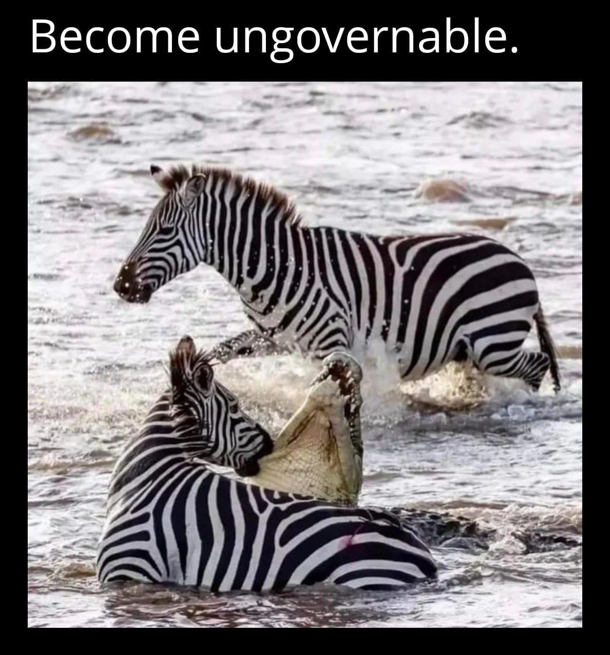 25 Funny Sunday Memes to Make Your Lazy Day Hilarious 21 become ungovernable