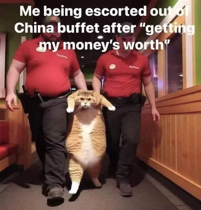 20 Fat Cat Memes That Outweigh Your Problems 2 being escorted out - Fat Cat Memes