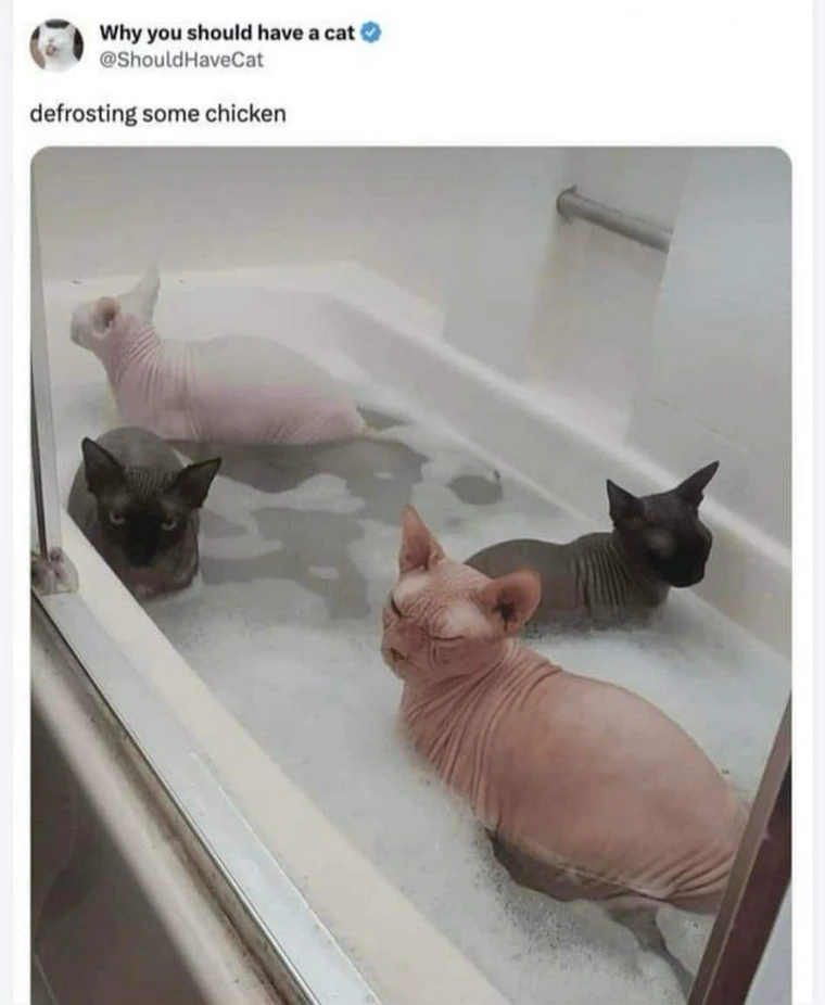 15 Memes That Will Make Your Day Fun 2 defrosting