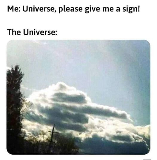 15 Memes Straight from the LOL Garden 7 give me a sign