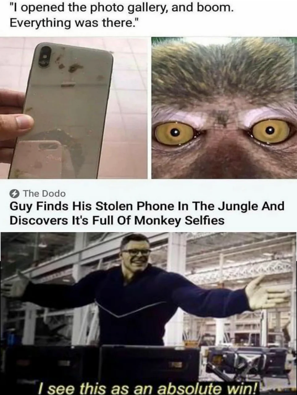 20 Chimpanzee Memes to Celebrate World Chimpanzee Day 8 guy finds his phone - Chimpanzee Memes