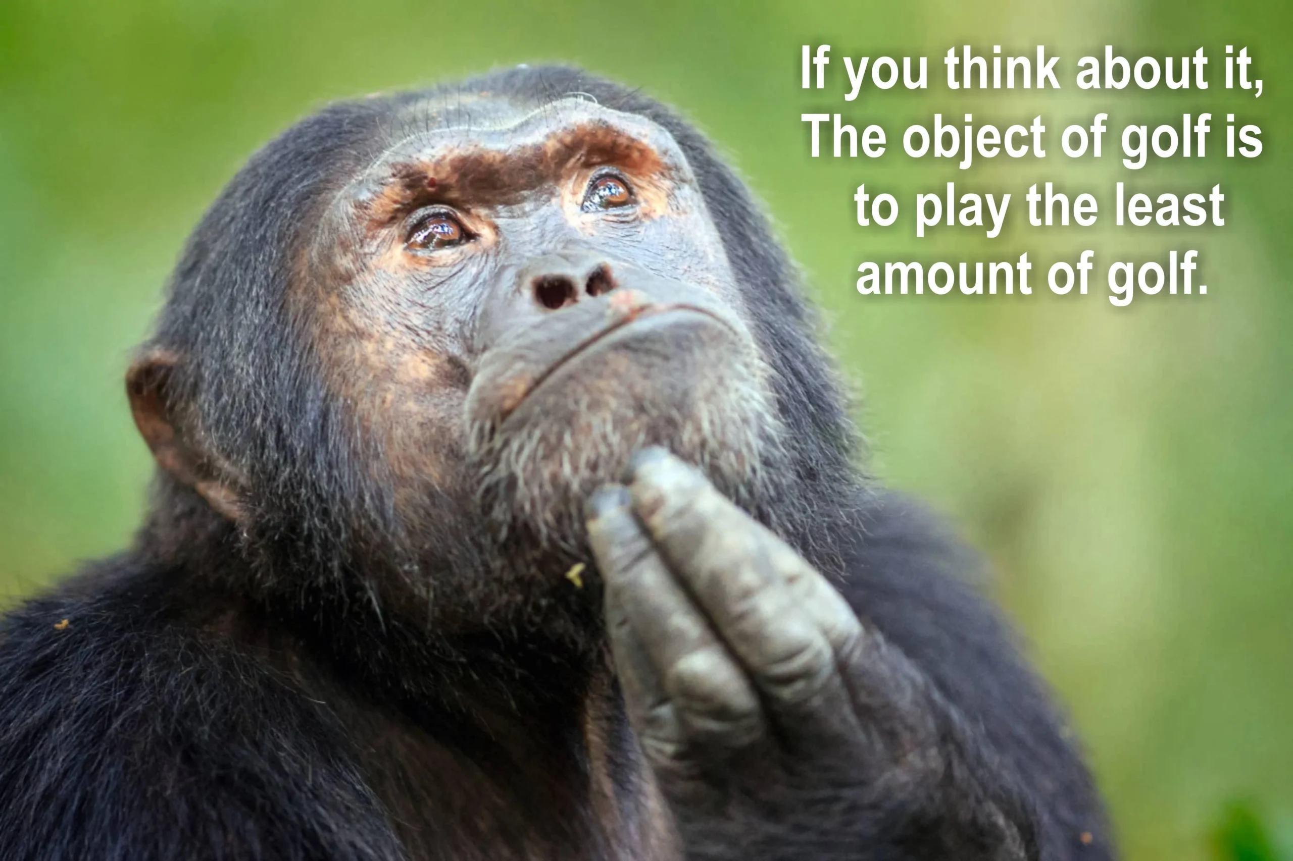 20 Chimpanzee Memes to Celebrate World Chimpanzee Day 10 if you think about it - Chimpanzee Memes